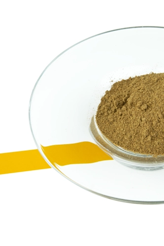 Przyprawa Garam masala